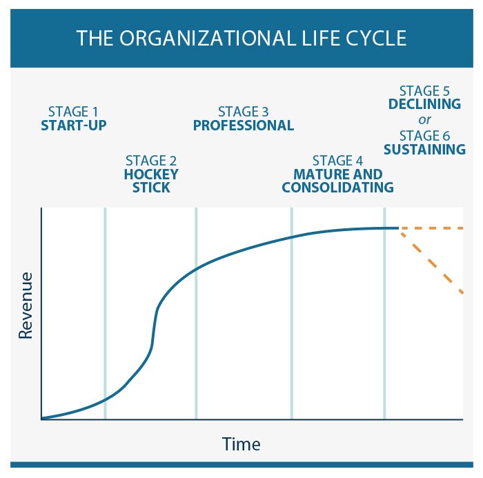 Organizational life cycle