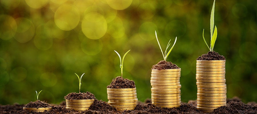 Nurturing Financial Growth. Stacks of gold coins with plants growing out of the top of them.