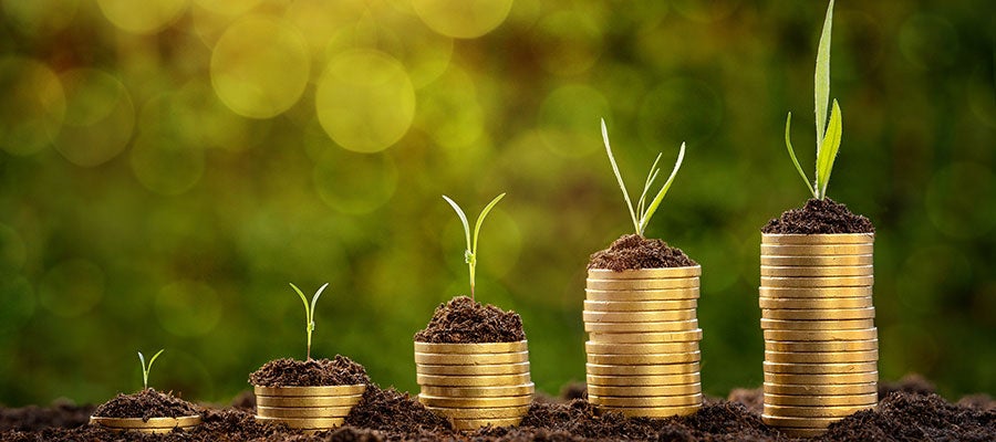 nurturing financial growth