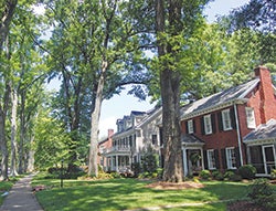 A Charlotte residential street with two-story homes and trees.
